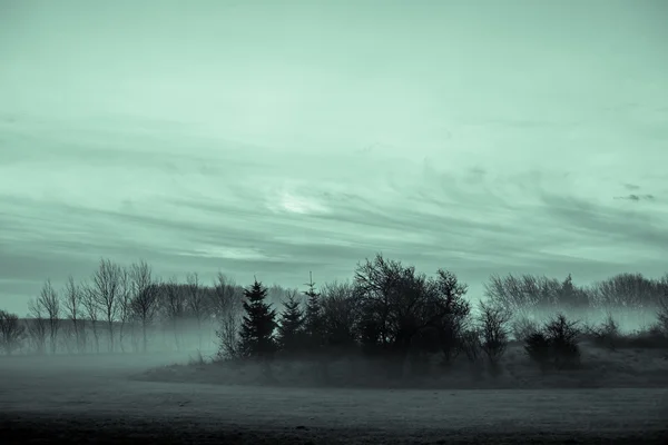 Morgennebel — Stockfoto