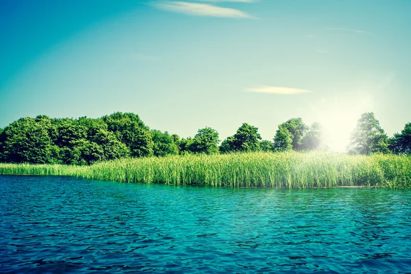 Lac idyllique avec eau bleue et arbres verts — Photo