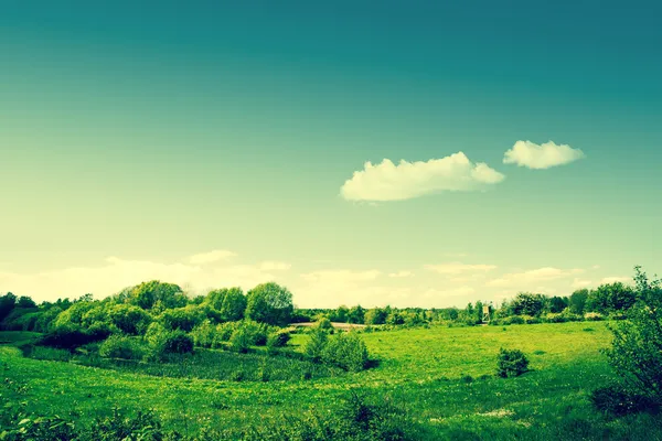 Landschaft mit grünen Wiesen — Stockfoto