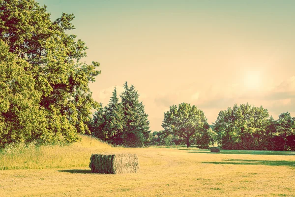 Деревенский пейзаж с тюками сена — стоковое фото