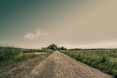 doğa yol alanları ve ağaçlar