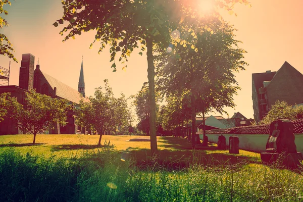 Oude kerk tuin met zon — Stockfoto