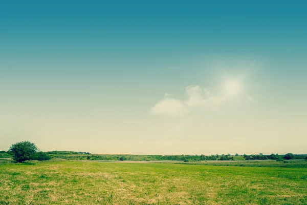Zielone pola na wiejski krajobraz — Zdjęcie stockowe