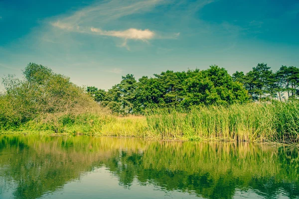 Спокойные воды на идиллическом озере — стоковое фото