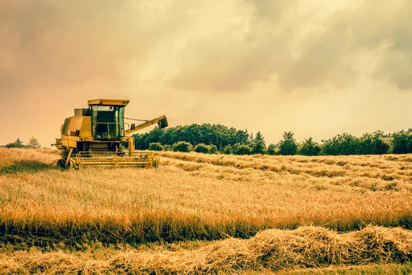 Raccoglitrice su un campo — Foto Stock