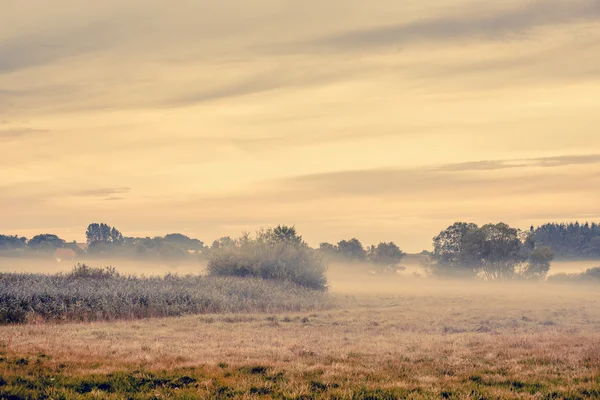 Nebbia su un paesaggio di campagna — Foto Stock