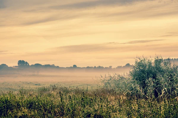 Sunrise over a misty field — Stock Photo, Image