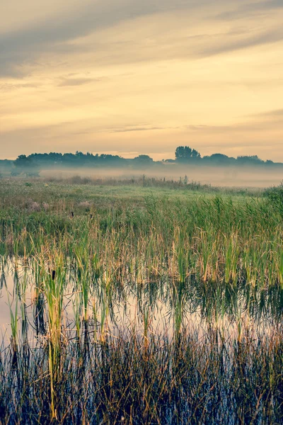 Misty landscape with a quiet lake — Stock Photo, Image