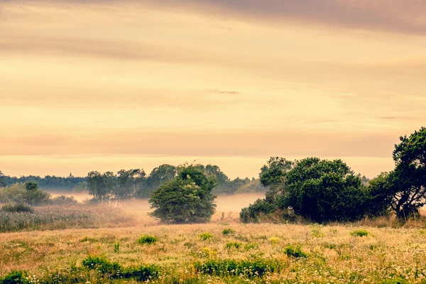 霧の田舎の風景 — ストック写真