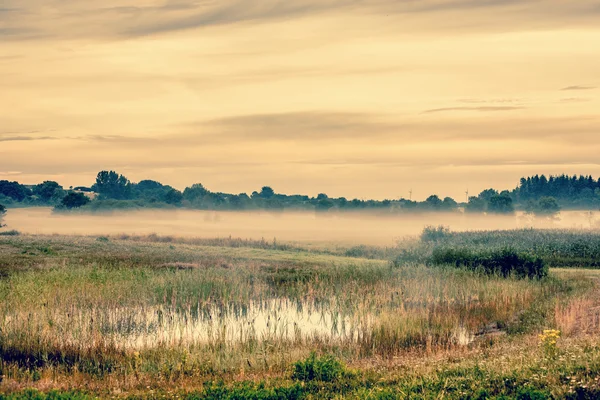 Beautiful lake scenery an early morning — Stock Photo, Image