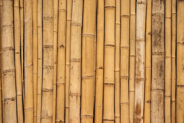 Asiático superfície de fundo de bambu — Fotografia de Stock