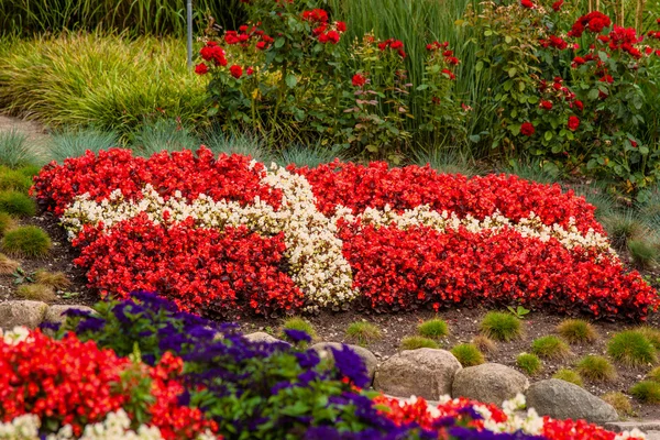 Danish flag made out of flowers — Stock Photo, Image