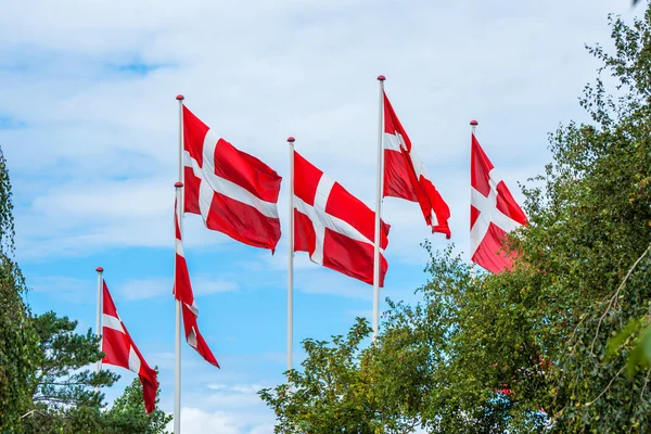 Seis bandeiras dinamarquesas em postes de bandeira — Fotografia de Stock