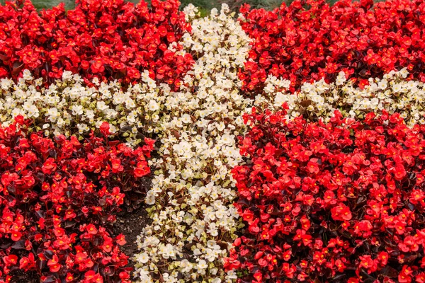 Bandeira da Dinamarca feita de flores — Fotografia de Stock