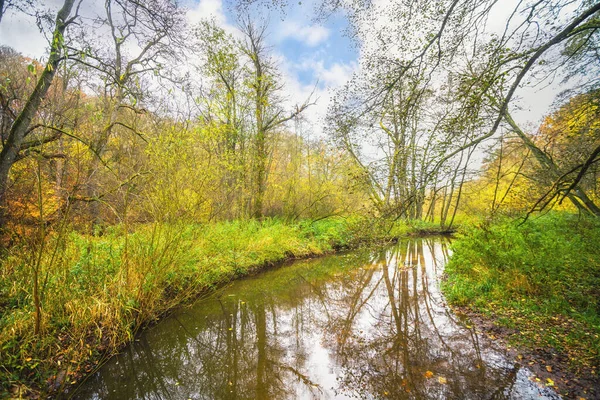 Paysage Automne Avec Une Rivière Calme Traversant Forêt Colorée Automne — Photo