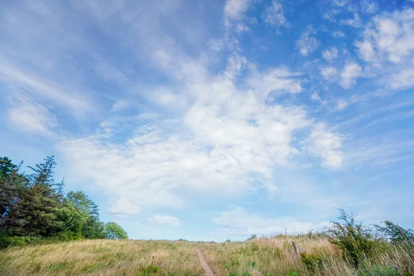 Травяной Пейзаж Небольшой Тропинкой Равнинах Голубым Небом Деревьями Слева — стоковое фото