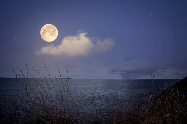 Full moon over the sea with sparkling stars on a violet night sky