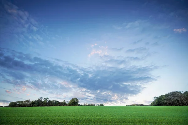Krajobraz Wiejski Świcie Zielonymi Uprawami Pod Dramatycznym Niebem Zachodu Słońca — Zdjęcie stockowe