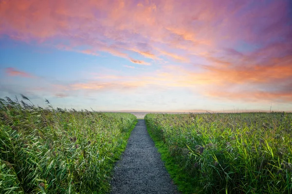 Weg Zum Strand Einem Farbenfrohen Sonnenuntergang Meer Mit Violettem Himmel — Stockfoto