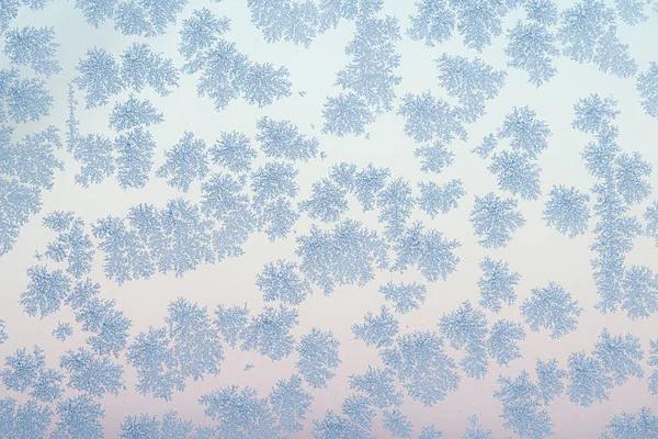 Kışın soğuk bir sabahta buz taneleri doğanın yarattığı güzel doğal desenlerle birlikte.