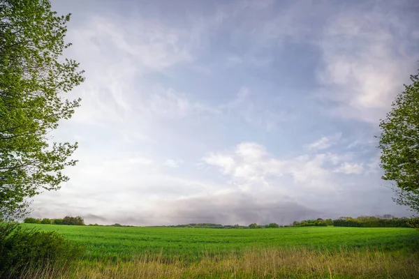 Pole Wiejskie Zieloną Trawą Pod Pochmurnym Błękitnym Niebem Drzewami Obu — Zdjęcie stockowe