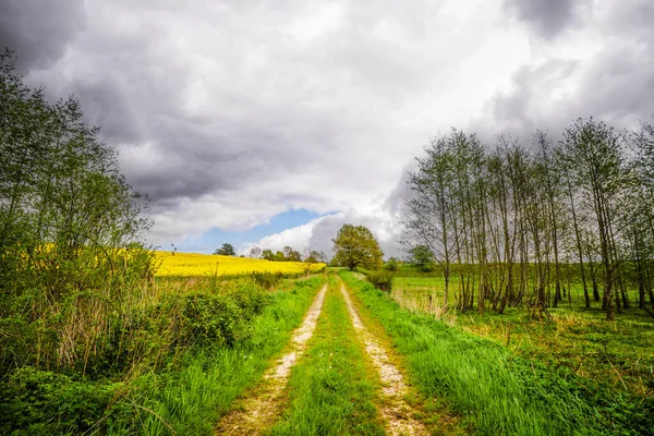 Landsbygdsväg Molnigt Väder Med Ett Gult Rapsfält Bakgrunden — Stockfoto