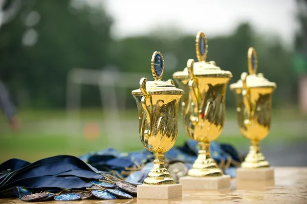 Premio Copa Imágenes de stock libres de derechos