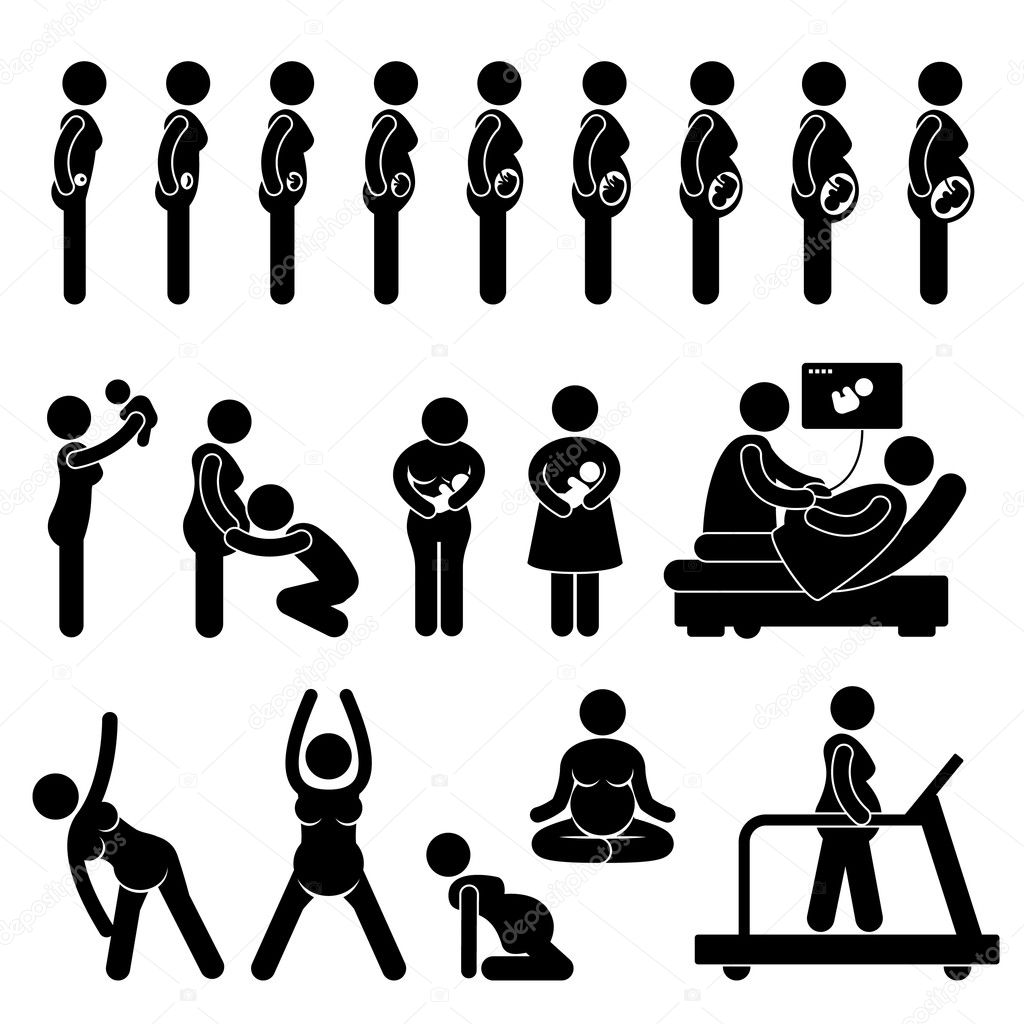 Pregnant Pregnancy Stages Process Prenatal Development Mother Baby Exercise Stick Figure Pictogram Icon Vector Image By C Leremy Vector Stock