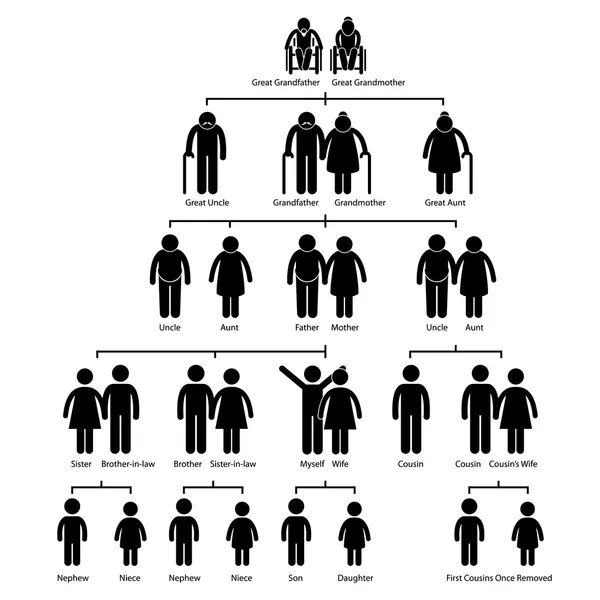 Icona del pittogramma della figura del bastone dello schema genealogico dell'albero genealogico — Vettoriale Stock