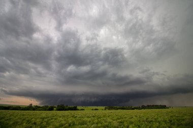 A strong thunderstorm looms on the horizon over a green field in Kansas