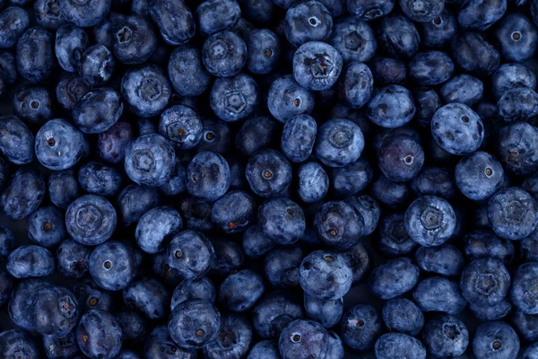 Blaubeeren als Hintergrund — Stockfoto