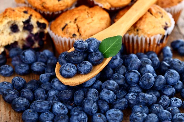 Blaubeeren auf Holzlöffel — Stockfoto