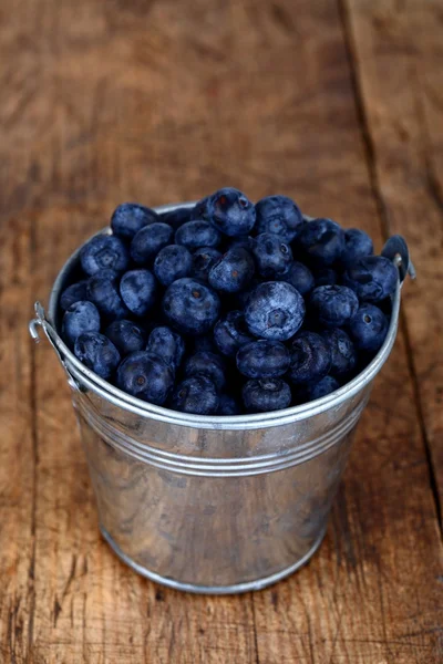 在小小的钢桶中的蓝莓 — 图库照片