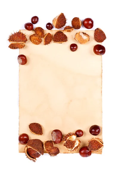Notepaper with chestnuts — Stock Photo, Image