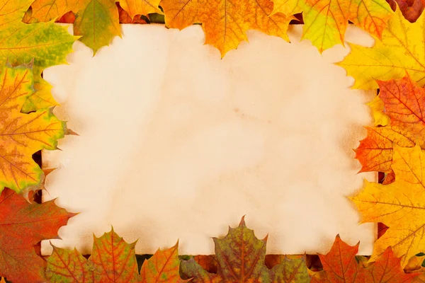 Autumn leaves as border — Stock Photo, Image