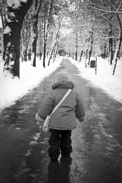 Зимняя прогулка — стоковое фото