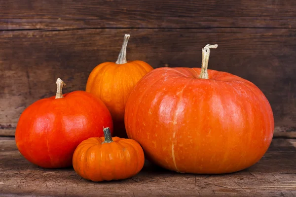 Familia de calabazas —  Fotos de Stock