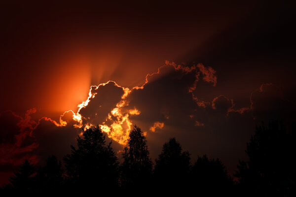 Beautiful orange sunrise in the forrest with amazing cloud
