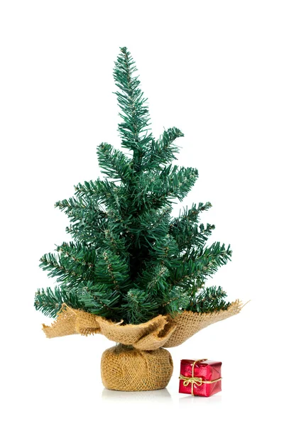 Undecorated small tree with small gift — Stock Photo, Image