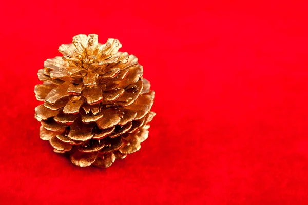 Closeup view of golden pine cone — Stock Photo, Image