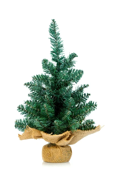 Pine on burlap stand — Stock Photo, Image