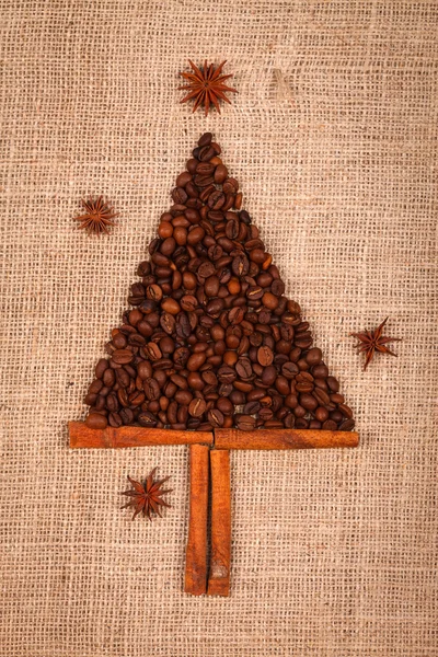 Small tree of coffee beans — Stock Photo, Image