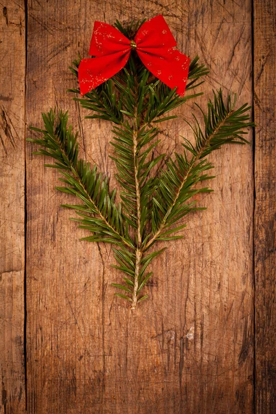 Green branch with little red ribbon — Stock Photo, Image