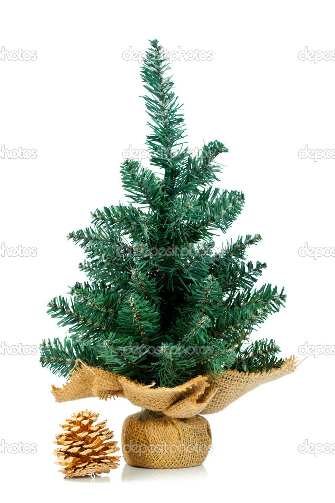 Small pine with golden cone