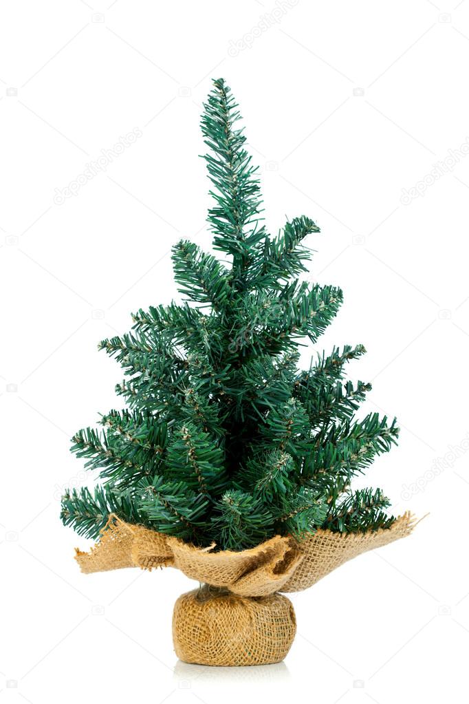 Pine on burlap stand