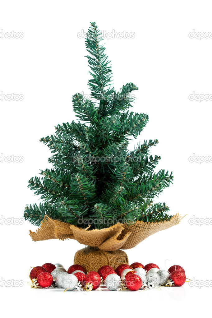 Small pine