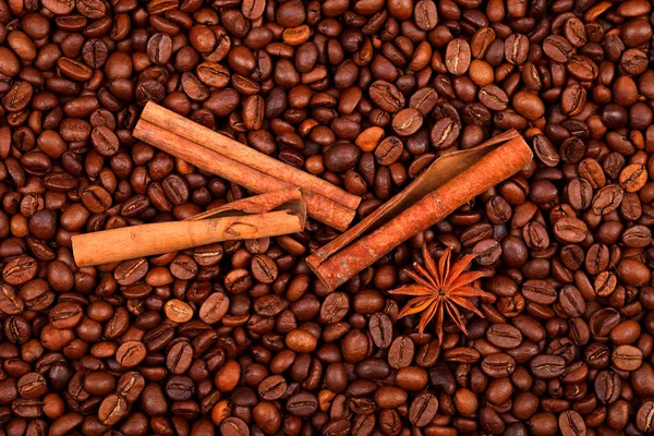 Anise and cinnamon on coffe beans — Stock Photo, Image