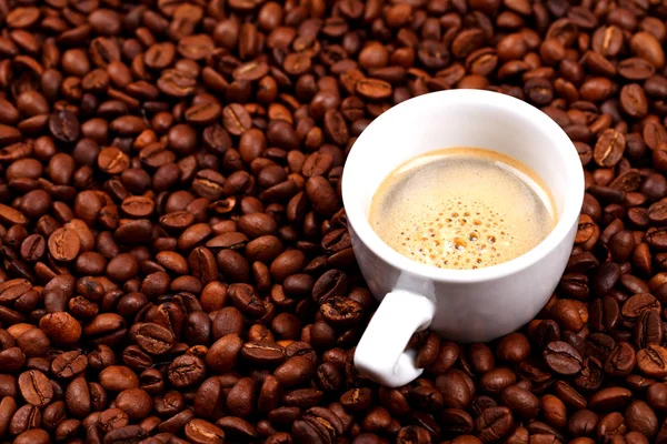 Cup of coffee on coffee beans — Stock Photo, Image