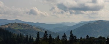 Ukrayna Karpatları 'nın dağ yamaçlarında. Dağın tepeleri ve ormanlar mavi gökyüzünün arka planında.