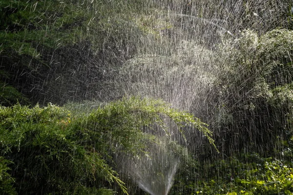 现代灌溉园装置 灌溉系统 在花园里浇水的技术 草坪洒水喷灌绿水 — 图库照片
